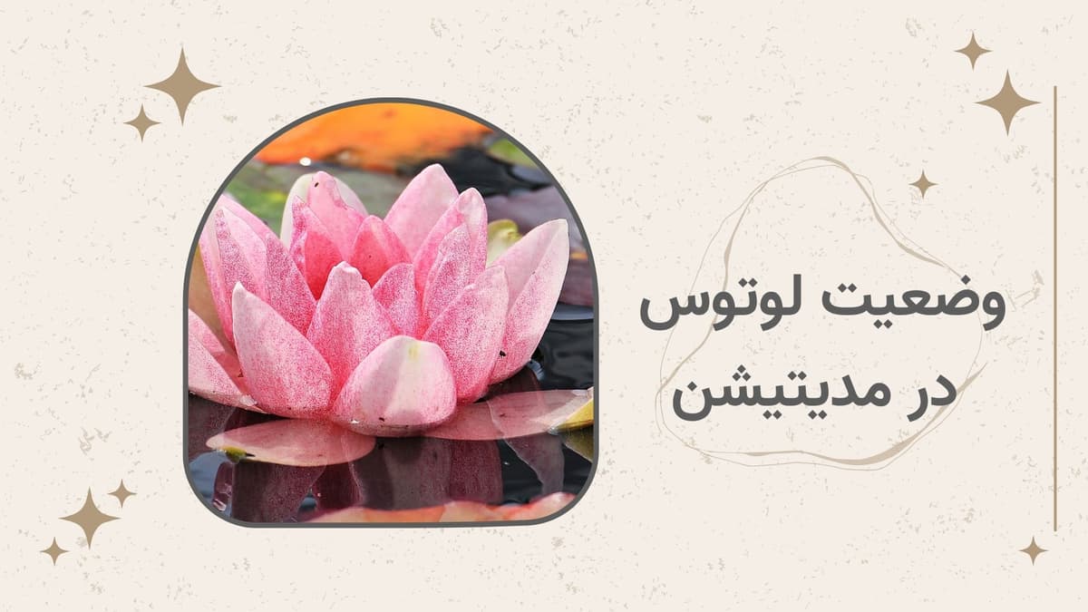 حالت لوتوس در مدیتیشن چیست و چه فوایدی دارد؟