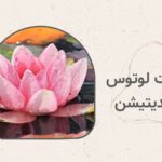 حالت لوتوس در مدیتیشن چیست و چه فوایدی دارد؟