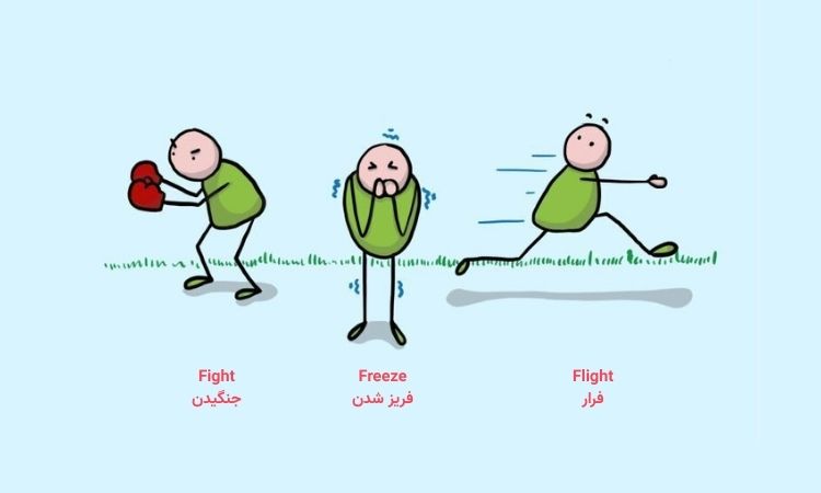 حالت جنگ و فرار بدن در زمان اضطراب